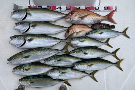 １０月２７日の釣果です🎣