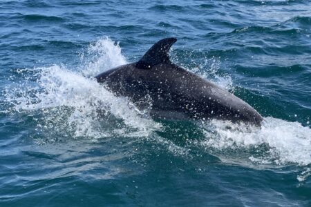 １０月１１日のティップラン調査出港🦑🐬