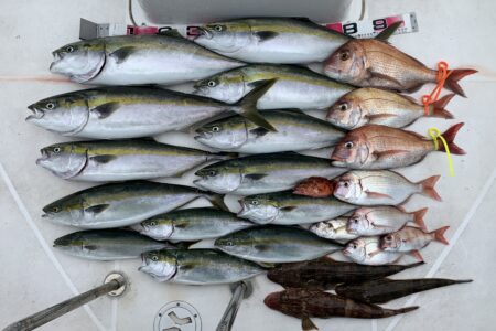 １０月７日の釣果です🎣