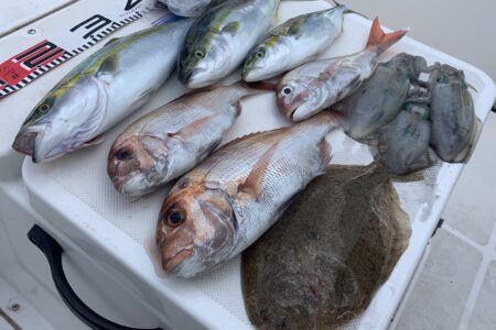 ９月２９日の釣果です🎣🦑
