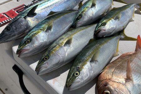９月２１日の釣果です🎣