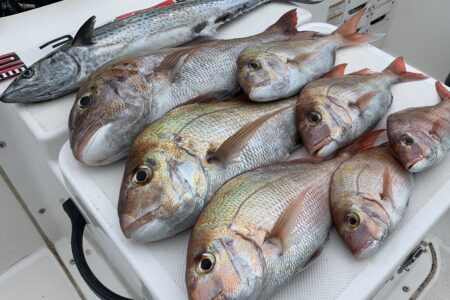 １０月２６日『鮨懐石たから』コラボプラン❗️