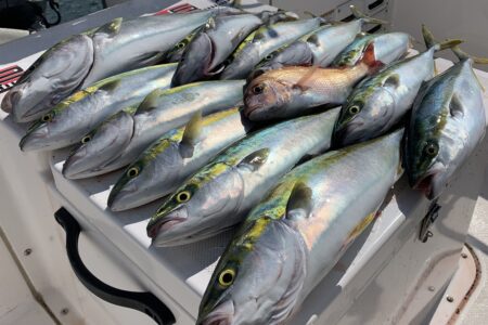 １０月１２日の釣果です🎣