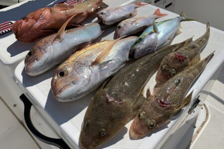 １０月１３日ファミリーフィッシングの釣果です🎣