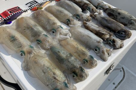 １０月１４日のティップラン調査出港の釣果です🦑