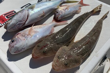１０月１１日の釣果です🎣