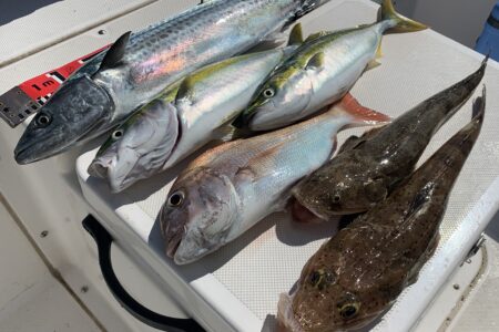 １０月５日の釣果です🎣