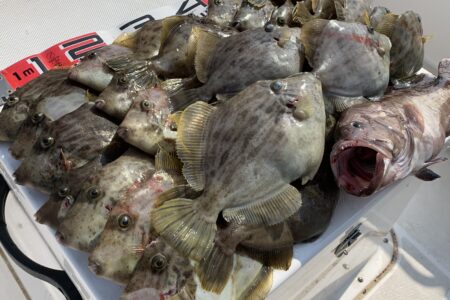 １０月２７日の釣果です🎣