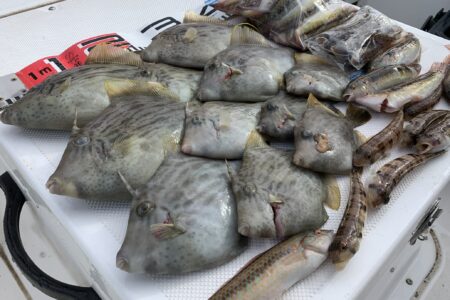 １１月１１日『鮨懐石たから』コラボプラン❗️