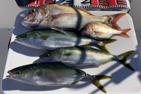 １２月１８日の釣果です🎣