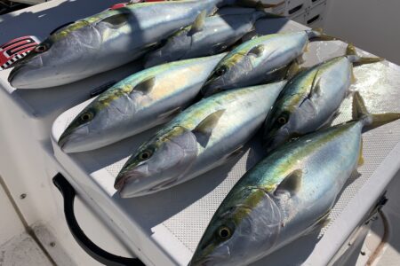 １２月６日の釣果です🎣