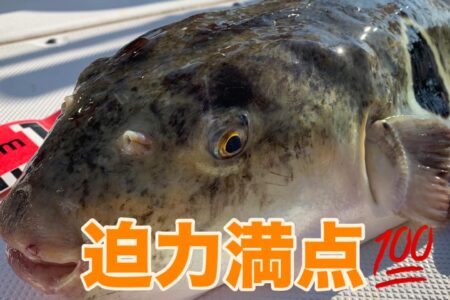 １２月２８日『鮨懐石たから』コラボプラン❗️