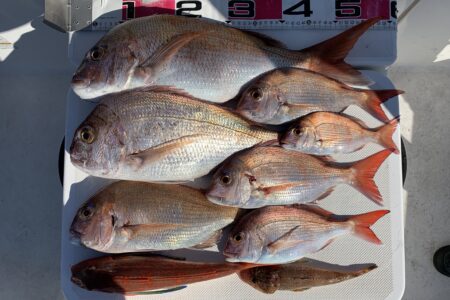 ８月１０日の釣果です🎣