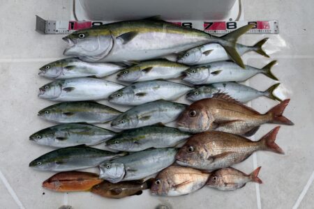 ９月１５日１ラウンド目の釣果です🎣