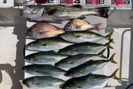 ９月１１日の釣果です🎣