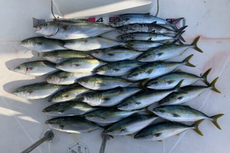 １１月２１日の釣果です🎣