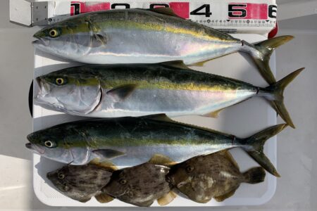 １１月６日の釣果です🎣