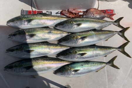 ４月１９日の釣果です🎣