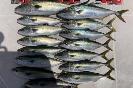 ４月２７日の釣果です🎣