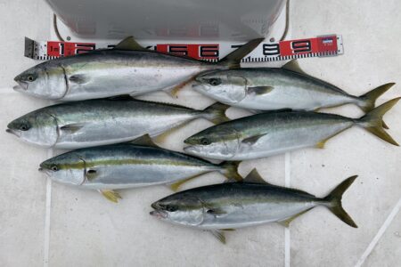 ４月１０日の青物ジギング調査出港🎣