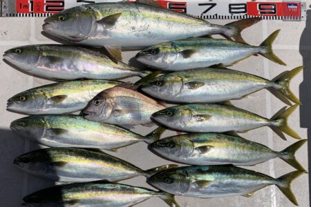 ４月２９日の釣果です🎣