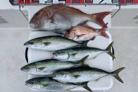 ４月２８日の釣果です🎣
