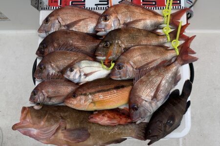 ５月２６日の釣果です🎣