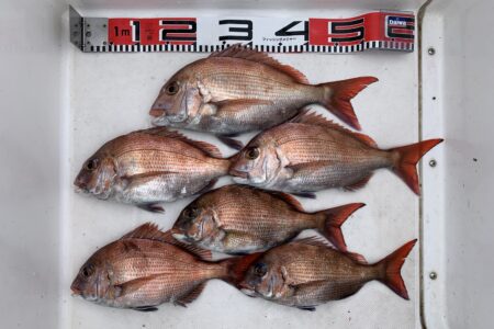 ５月５日２ラウンド目の釣果です🎣