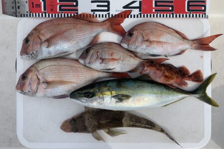５月３日の釣果です🎣