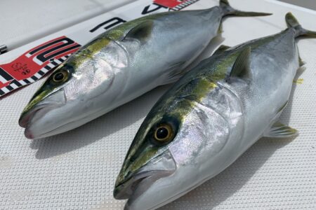 ５月２５日ファミリーフィッシングの釣果です🎣