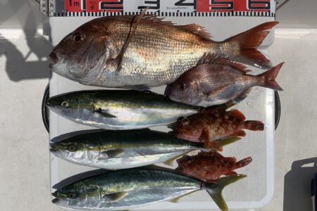５月１３日の釣果です🎣