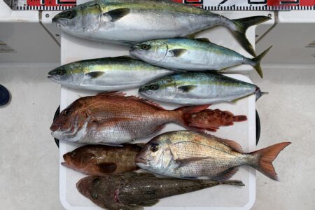 ５月１日１ラウンド目の釣果です🎣