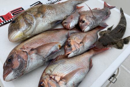 ５月２９日の釣果です🎣