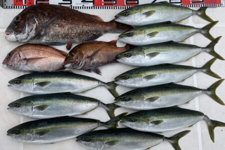 ５月１８日の釣果です🎣