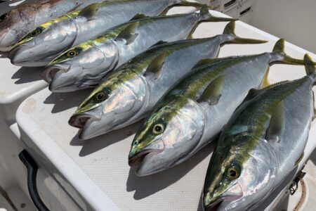 ７月２７日１ラウンド目の釣果です🎣