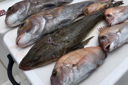７月２６日１ラウンド目の釣果です🎣