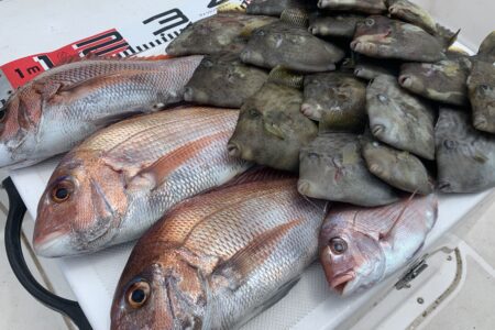 ７月１２日の釣果です🎣