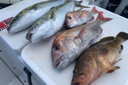 ７月２７日２ラウンド目ファミリーフィッシングの釣果です🎣