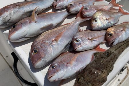 ８月３０日の釣果です🎣