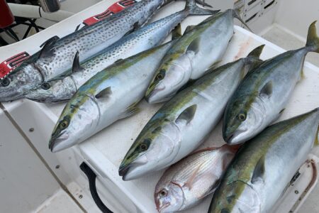 ８月２２日ファミリーフィッシングの釣果です🎣