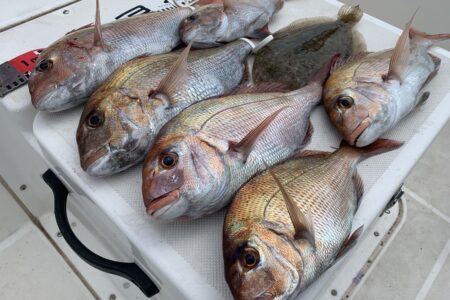 ８月２４日１ラウンド目の釣果です🎣