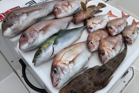 １０月１８日の釣果です🎣