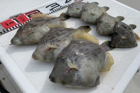 １０月１６日の釣果です🎣