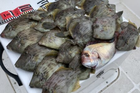 １１月２０日の釣果です🎣