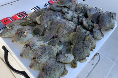 １１月２９日の釣果です🎣