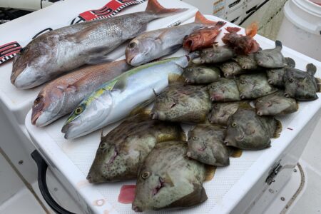 １１月２４日の釣果です🎣