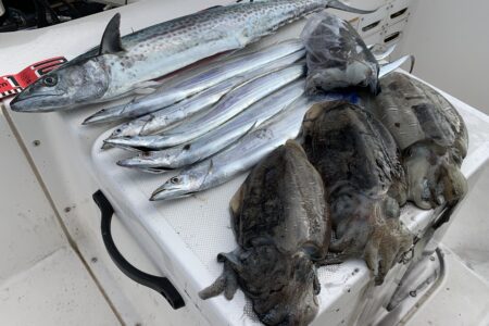 １１月３０日の釣果です🎣🦑