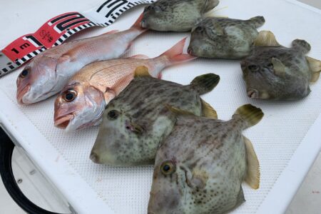 １２月１３日の釣果です🎣