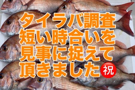 ２月１４日の釣果です🎣
