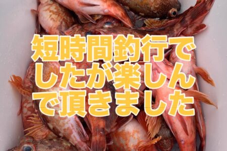 ２月７日の釣果です🎣